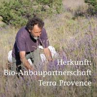 Primavera Arnica olie bio 50 Milliliter - thumbnail