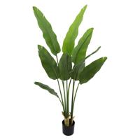 Strelitzia in pot 180 cm kunstplant Buitengewoon de Boet - Buitengewoon de boet - thumbnail