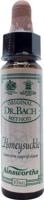 Ainsworths Honeysuckle Bach 10 Milliliter - thumbnail