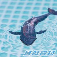 Spel/set Colorbaby Racing Boat Radiografische besturing Walvis - thumbnail