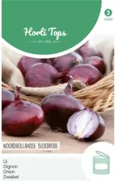 Zaden Uien Noordhollandse Bloedrode Hortitops - Hortitops - thumbnail