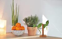 Houten Stekjesvaas - 2 Glaasjes - thumbnail