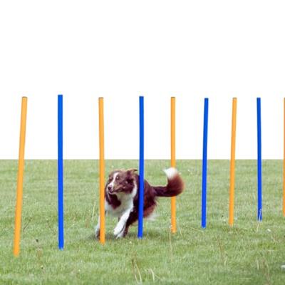 TRIXIE Agility-Slalomstangen Fun Agility, blauw/oranje - thumbnail
