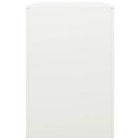 Haardhoutrek 100x40x60 cm staal wit - thumbnail