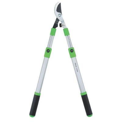 Freund Takkenschaar 10 30ta telescopisch