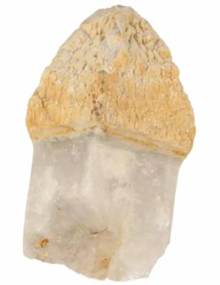 Indonesische Merlijn Scepterkwarts 775 gram