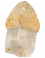 Indonesische Merlijn Scepterkwarts 775 gram - thumbnail