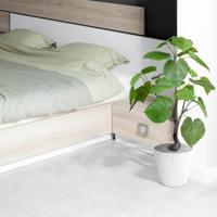 Ficus Umbellata kunstplant 60cm - thumbnail