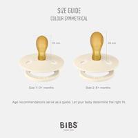 Bibs 1 Fopspeen Anatomic Duo Fossil/Mauve - thumbnail