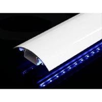 Alunovo AL90-050 Kabelgoot (l x b x h) 500 x 80 x 20 mm Zilver (mat, geëloxeerd) 1 stuk(s) - thumbnail