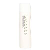 SASSOON Advanced Condition - thumbnail