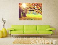 Origineel LCD-scherm en digitizer volledige montage met frame voor Samsung Galaxy A03S SM-A037 - thumbnail