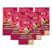 Thee Lipton Exclusive bosvruchten 25x2gr | 6 stuks - thumbnail