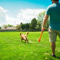 Hunter - Toy Flingerz Ball - (401673969517) - thumbnail