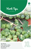 Zaden Spruitkool Roodnerf Hortitops - Hortitops - thumbnail