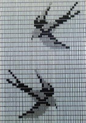 Vliegengordijn Hulzen Zwaluwen transparant - 90cm x 210cm