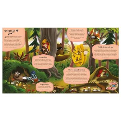 Een kijkje in het Dierenbos Een kijkje in het Dierenbos