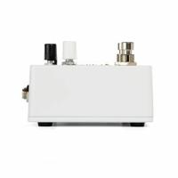 Electro Harmonix Grand Canyon Delay & Looper pedaal - thumbnail