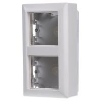 Jung AS500 opbouwbehuizing met afdekraam 2-voudig creme AS582AW