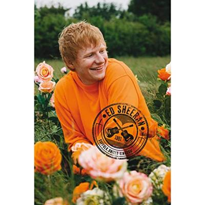 Poster Ed Sheeran - Rose Field 61x91,5cm Poster Ed Sheeran - Rose Field 61x91,5cm