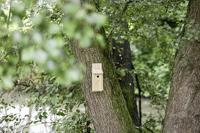 Vogelhuisje Kerbl 36 x 12 x 14 cm Hout - thumbnail