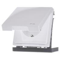 Merten MEG2314-6035 Wandcontactdoos System Design Wit 1 stuk(s) - thumbnail