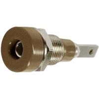 Stäubli LB-I2R Laboratoriumbus Bus, inbouw verticaal Stift-Ø: 2 mm Bruin 1 stuk(s) - thumbnail