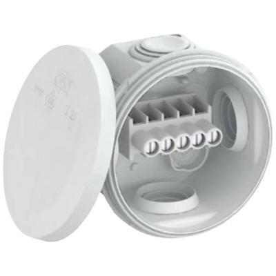 OBO Bettermann 2007430 Verdeeldoos (Ø x d) 80 mm x 51 mm 1 stuk(s) OBO Bettermann 2007430 Verdeeldoos (Ø x d) 80 mm x 51 mm 1 stuk(s)