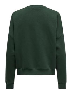 Only Onlsweat Life L/s Crew O.size State Noos Sweater Pine Grove New York