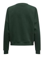 Only Onlsweat Life L/s Crew O.size State Noos Sweater Pine Grove New York - thumbnail