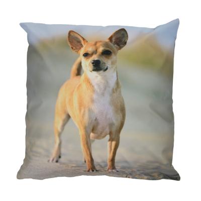 Esschert Design Buitenkussen hond