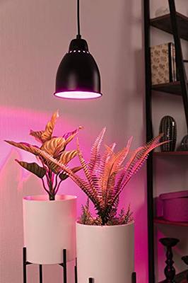 Paulmann 79763 Hanglamp E27 Zwart