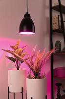 Paulmann 79763 Hanglamp E27 Zwart - thumbnail
