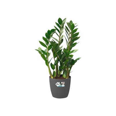 ELHO Brussels Wheels 40 ronde bloempot - Zwart - Ø 39 x H 37 cm - interieur - 100% gerecycled