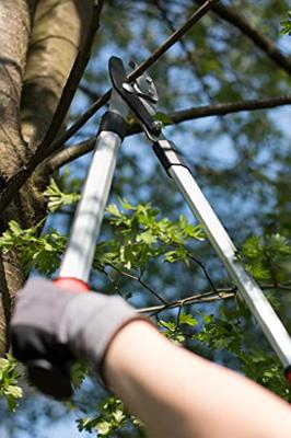 Meister Takkenschaar Amboss 2C - WU9769600 Meister Takkenschaar Amboss 2C - WU9769600