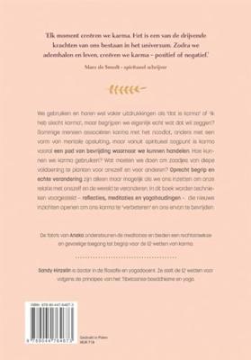 De 12 wetten van Karma (Paperback)