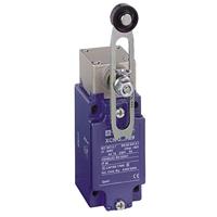 Telemecanique XCKJ10541H29 XCKJ10541H29 Eindschakelaar Instelbare rolhendel IP66 1 stuk(s) - thumbnail