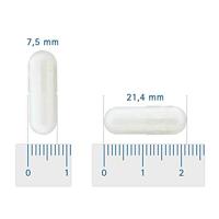 Hond & kat PEA 100% puur 60 capsules - thumbnail