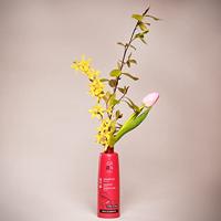 GRN Rich Elements Shampoo Energy - thumbnail