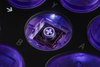 8Bitdo Arcade Controller - Transparent Purple Signature Edition - thumbnail