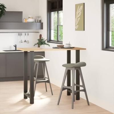 Bartafelpoten 2 st 60x(110-111) cm staal antraciet