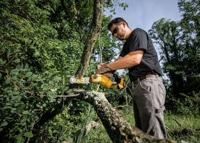 DeWalt DCMPS520P1 - 20cm Accu Snoeizaag Brushless | 18V | In doos - DCMPS520P1-QW - thumbnail