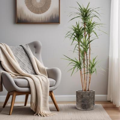 Draceana Marginata Kunstplant Deluxe 160cm