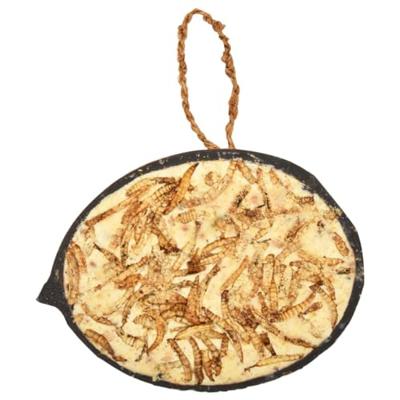 VidaXL Vogelvoer gevulde halve kokosnoten 10 st 290 g