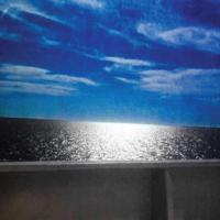 The Forgettable Truth - LP (0620953510410) - thumbnail