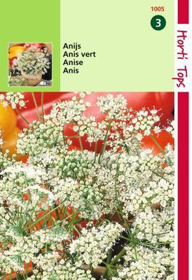 Zaden Anijs Hortitops - Hortitops Zaden Anijs Hortitops - Hortitops