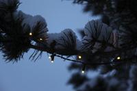 System-24 koppelbare verlichting 98 lamps warm wit, 10 meter - thumbnail