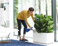 Elho plunge gieter 1,7 liter oker - thumbnail