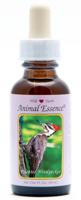 Animal Essences Pileated woodpecker (helmspecht) 30 Milliliter - thumbnail