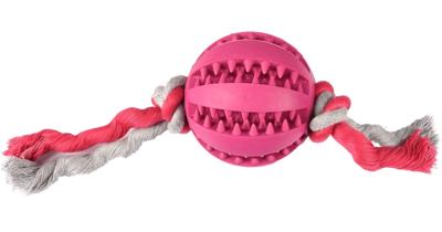 Hondenspeelgoed Rubber Dental Bal met Koord - 7 cm 20 x 7 x 7 cm Flamingo Multicolor